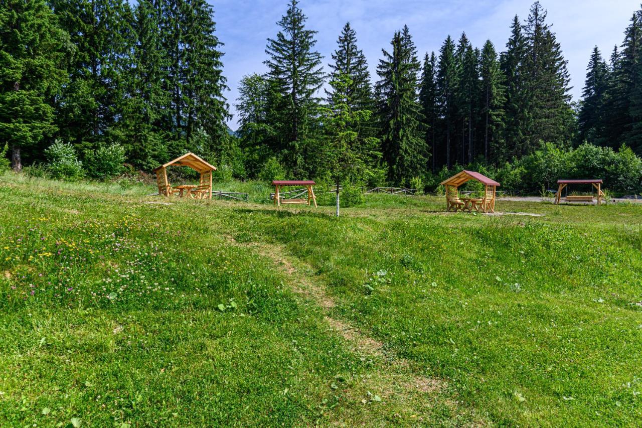 Forest Corner In Silver Mountain Of โปยานาบราซอฟ ภายนอก รูปภาพ